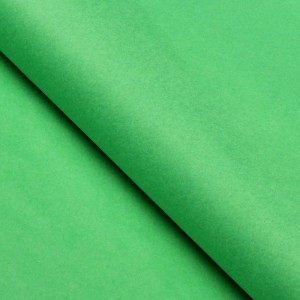Бумага упаковочная тишью, зелёная трава, 50 см х 66 см, 1 лист